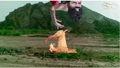 Seg 2 : Never Seen Before Ramdev Yoga Posture