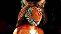 Seg 4: Savita bhabhi ke Sexy Solutions for Tigers