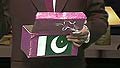 Seg1: Pakistan Population Control Kit